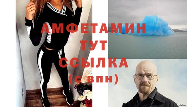 гидра Семилуки