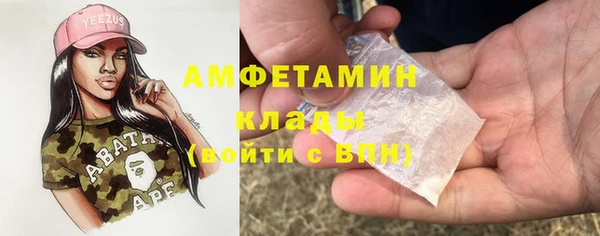 гидра Семилуки