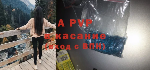 гидра Семилуки