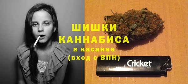 гидра Семилуки