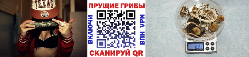 Псилоцибиновые грибы Magic Shrooms  Семёнов 